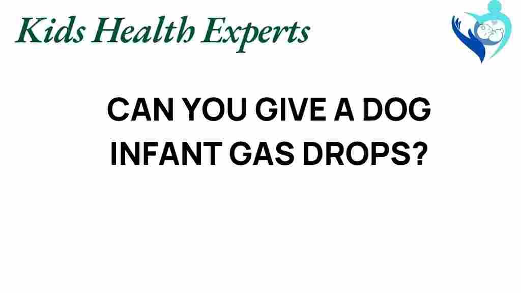 can-you-give-a-dog-infant-gas-drops