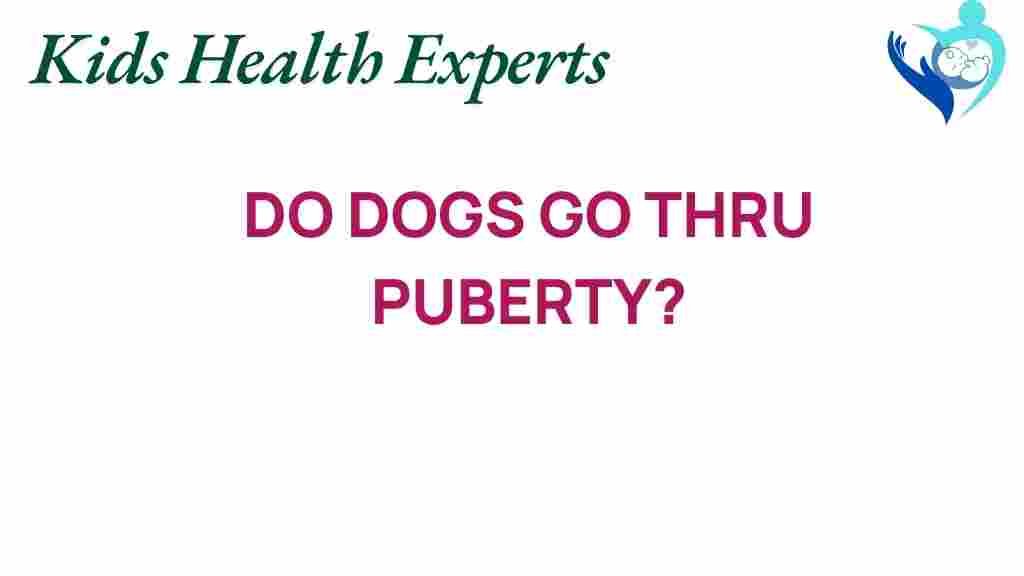 dogs-puberty-canine-development