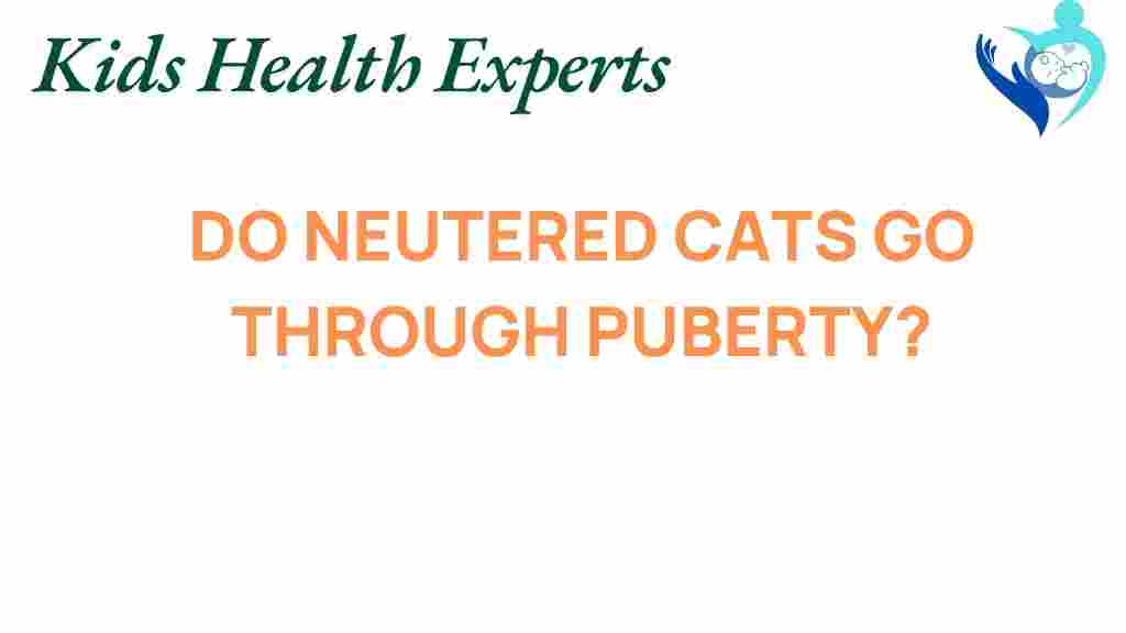 neutered-cats-puberty