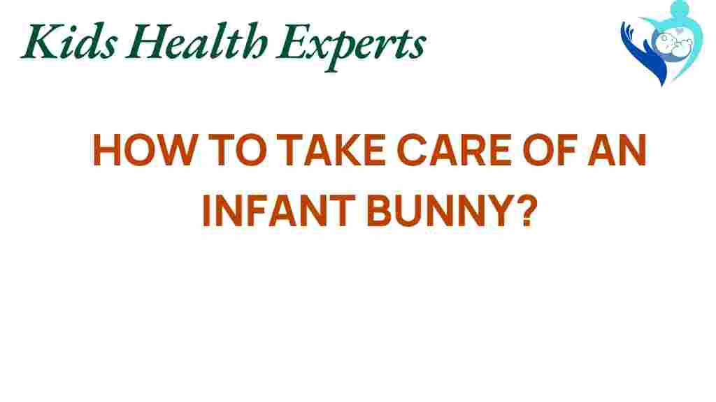 infant-bunny-care-guide