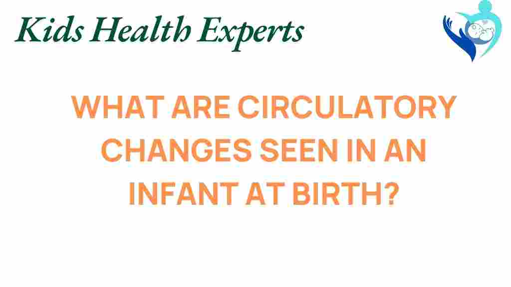 infant-circulatory-changes-birth
