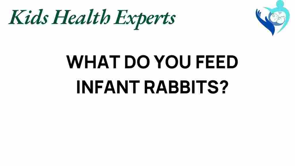 infant-rabbits-feeding-guide