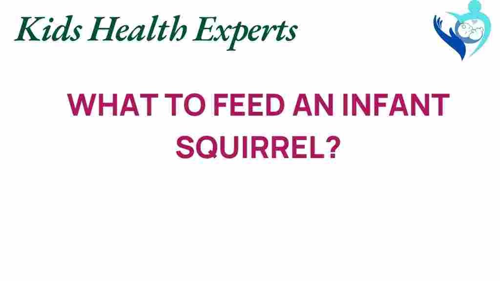 what-to-feed-an-infant-squirrel