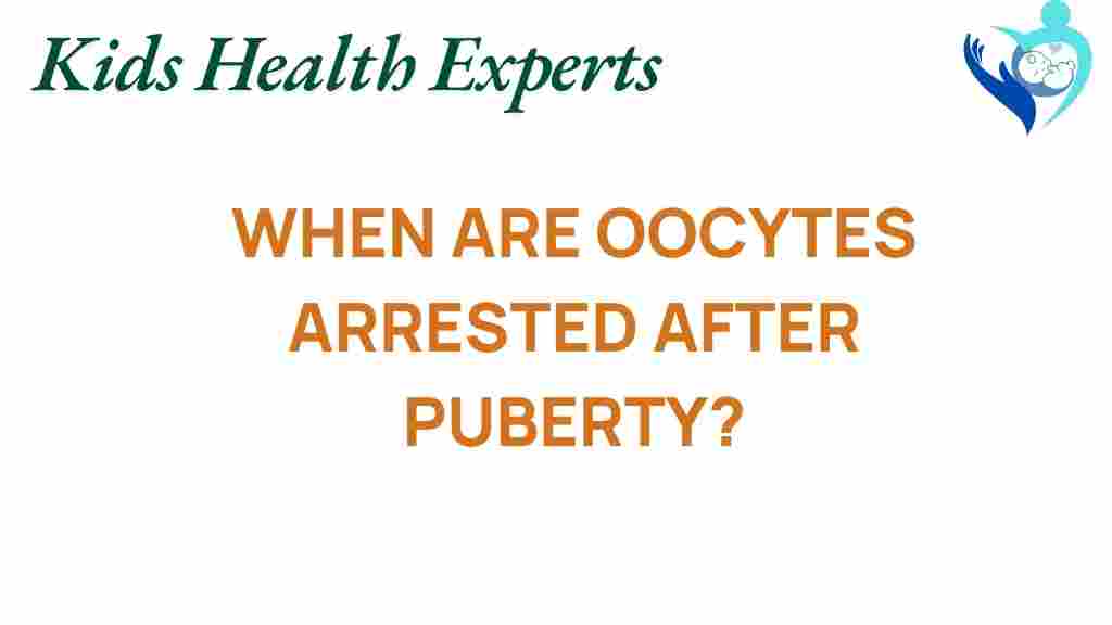 oocytes-arrested-after-puberty