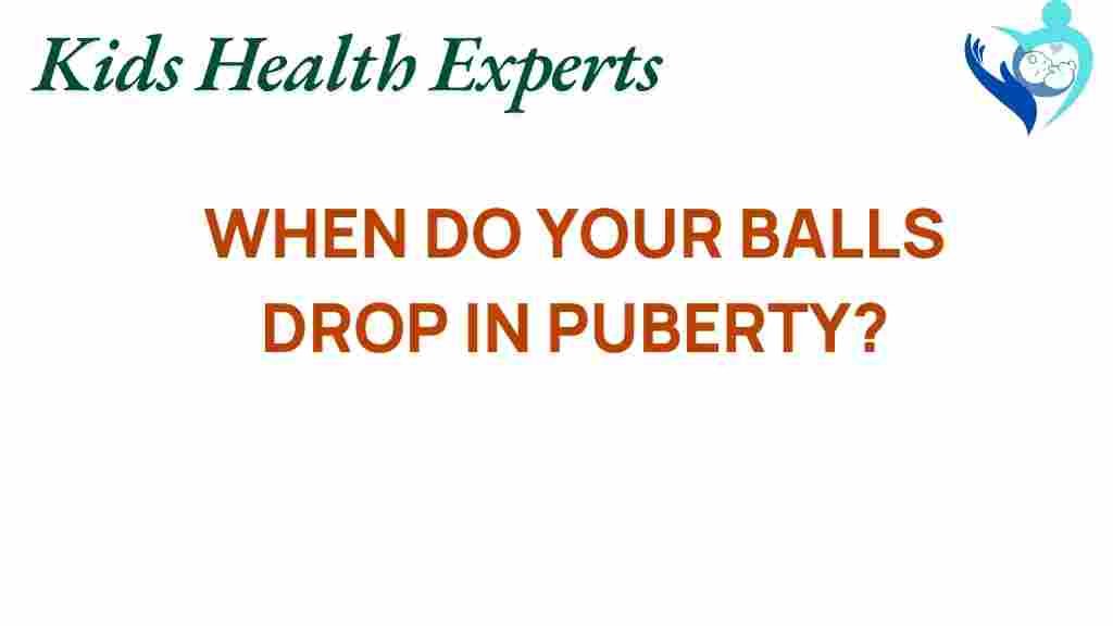 puberty-testicular-descent