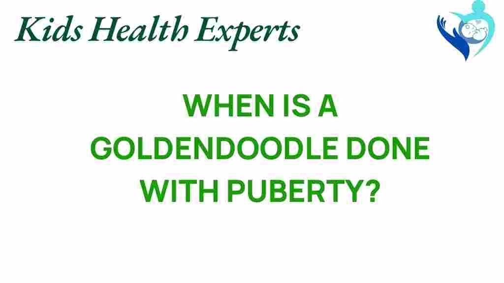goldendoodle-puberty-journey